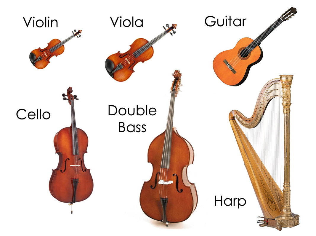 types of stringed instruments with pictures